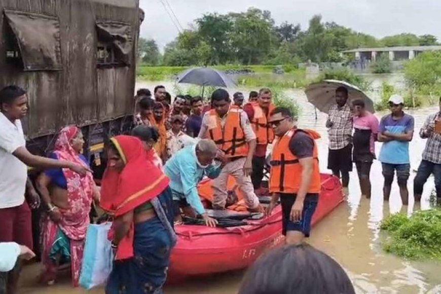 CG Flood: महानदी की बाढ़ से गांव जलमग्न, SDRF ने 6 लोगों को सुरक्षित निकाला