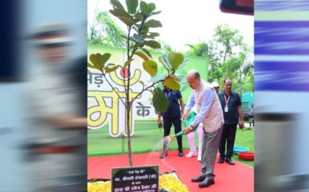 राज्यपाल ने ‘एक पेड़ मां के नाम’ अभियान के तहत   लगाया    पौधा