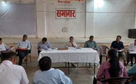 संबल एवं सीएम हेल्पलाइन प्रकरणों का समय सीमा में हो निराकरण – सीईओ जिला पंचायत