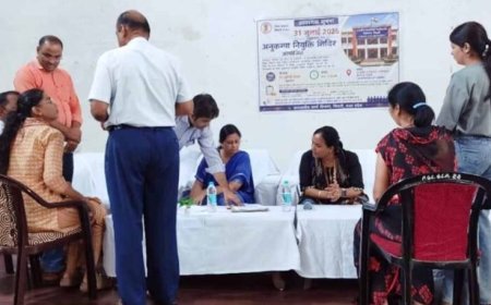 कलेक्टर नेहा मीना की पहल से लगा वृहद अनुकंपा नियुक्ति शिविर
