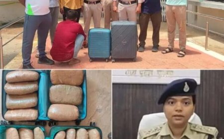 कटनी में पुलिस की बड़ी कार्रवाई, 20 किलो गांजे के साथ तस्कर गिरफ्तार