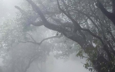 एल नीनो के बीच राहत की उम्मीद, पॉजिटिव IOD से सुधरेगा मानसून