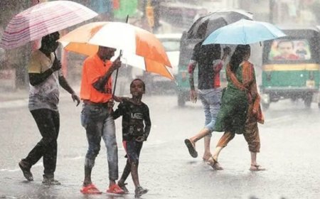 MP Weather Update: मध्य प्रदेश में अब तक सिर्फ 15.4 इंच बारिश, 42 जिलों में सामान्य से कम वर्षा; अगले 2 दिन भारी बारिश नहीं