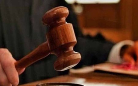 CG हाईकोर्ट की सख्त टिप्पणी: शोकसभा के नाम पर पूरे दिन मामलों की सुनवाई टालना अनुचित