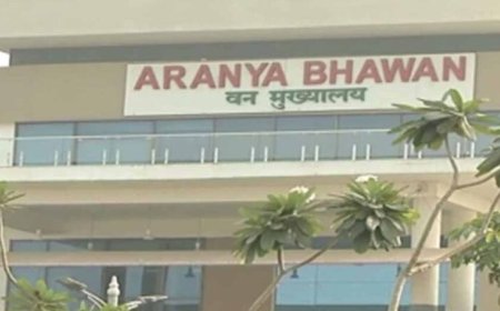 CG में प्रशिक्षु IFS अधिकारियों की पहली फील्ड पोस्टिंग, परख सारडा बने सुकमा के DFO