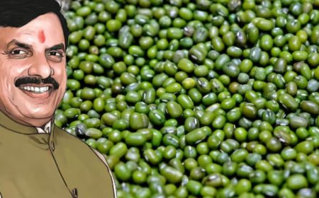 MP MSP Mung Procurement: मध्य प्रदेश में मूंग खरीदी का नया प्लान लागू, किसानों को मिलेगा बड़ा फायदा