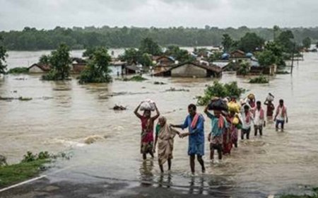 CG में राहत अभियान के बाद अब पुनर्वास पर जोर, बाढ़ प्रभावितों के लिए सरकार की नई तैयारी