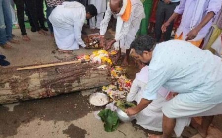 बस्तर दशहरा की पहली रस्म ‘पाट जात्रा’ संपन्न, शुरू हुआ ऐतिहासिक पर्व का आगाज