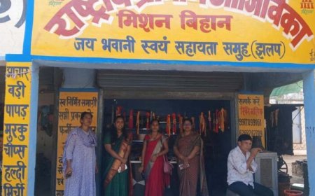 सीईओ अनुपमा आनंद ने झलप में पीएम सूर्य घर योजना और बिहान समूह की आजीविका गतिविधियों का किया निरीक्षण