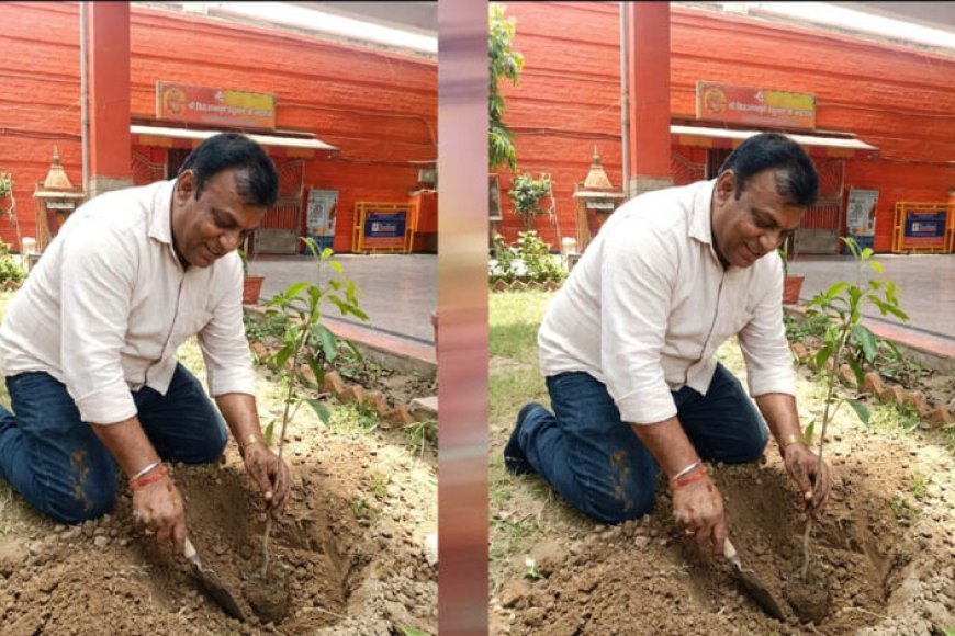 प्रदेश उपाध्यक्ष महेश सिनकर ने आम के वृक्ष मंदिर परिसर में लगाए