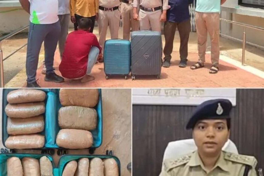 कटनी में पुलिस की बड़ी कार्रवाई, 20 किलो गांजे के साथ तस्कर गिरफ्तार