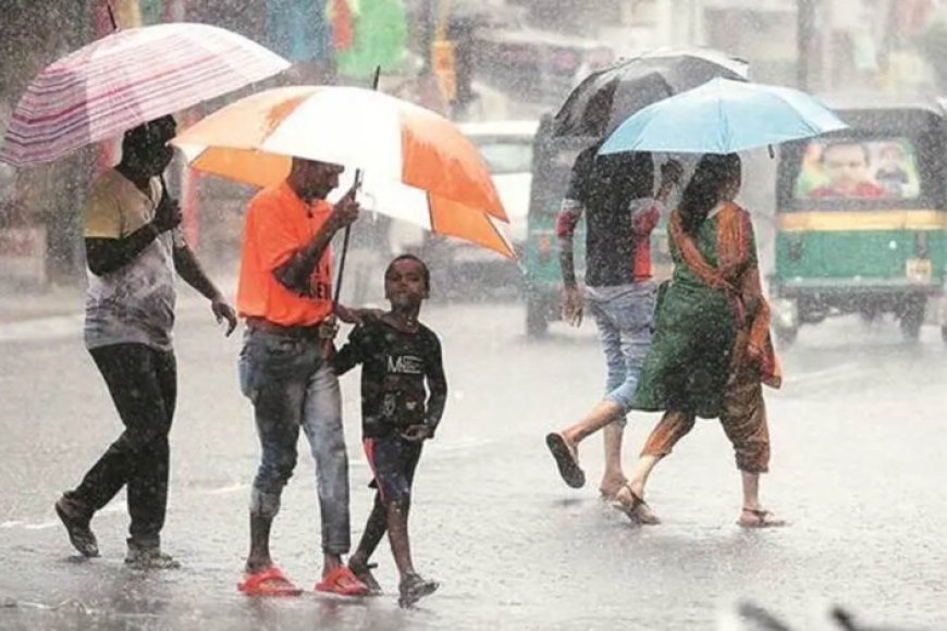 MP Weather Update: मध्य प्रदेश में अब तक सिर्फ 15.4 इंच बारिश, 42 जिलों में सामान्य से कम वर्षा; अगले 2 दिन भारी बारिश नहीं