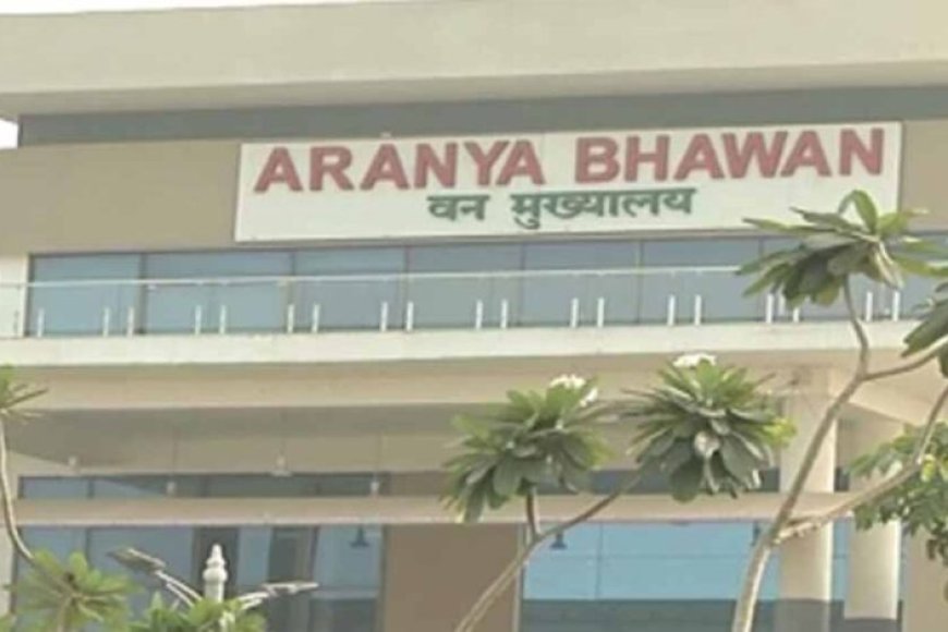 CG में प्रशिक्षु IFS अधिकारियों की पहली फील्ड पोस्टिंग, परख सारडा बने सुकमा के DFO