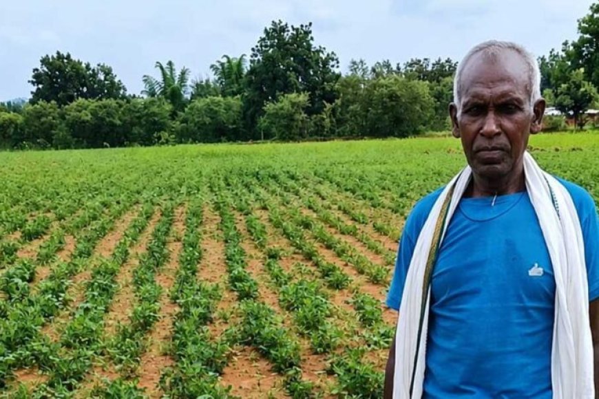 NMEO योजना से किसान बेसाहू राम की खेती को मिली नई दिशा
