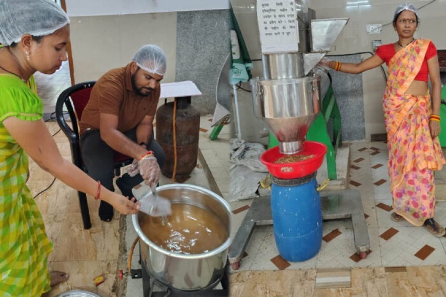 महुआ से बदली महिलाओं की तकदीर, वन धन योजना ने दी आत्मनिर्भरता की नई पहचान