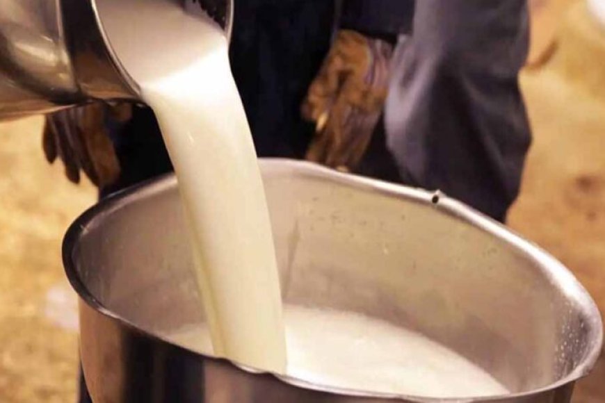 CG में मिलावटखोरों पर सख्त हुए स्वास्थ्य मंत्री, दूध-दही और मक्खन में गड़बड़ी करने वालों को चेतावनी