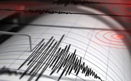 कर्नाटक के विजयपुरा में तड़के आया 3.5 तीव्रता का भूकंप, 10 किमी गहराई में था केंद्र